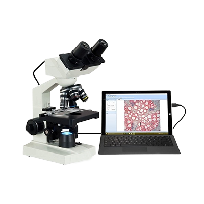 Microstructure Analysis